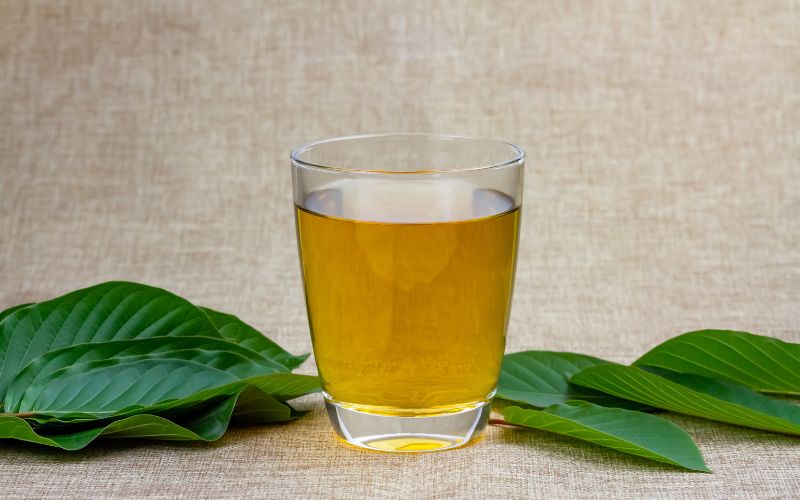 5 Things You Need to Know About Kratom Shots